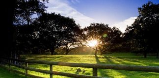 How to Handle Criticism: 5 Helpful Steps