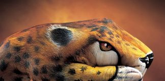 Amazing hand painting Art!