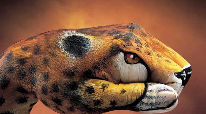 Amazing hand painting Art!