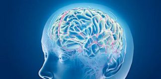 Simple Ways to Super Charge Your Brain