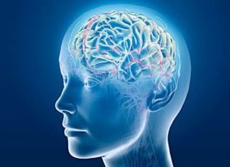 Simple Ways to Super Charge Your Brain