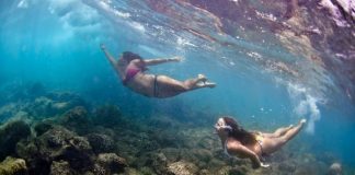 Beautiful underwater photography by Micah Camara