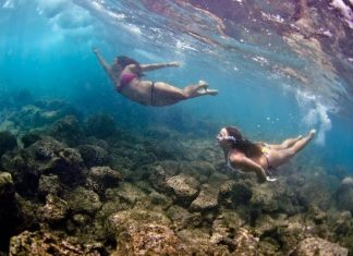 Beautiful underwater photography by Micah Camara