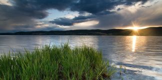 50 Questions That Will Free Your Mind