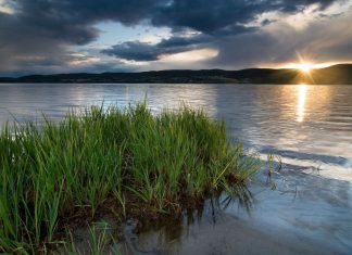 50 Questions That Will Free Your Mind