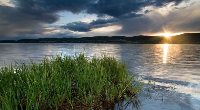 50 Questions That Will Free Your Mind