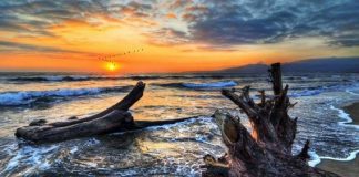 The Stunning Nature Photography Of Ivan Andreevich