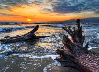 The Stunning Nature Photography Of Ivan Andreevich