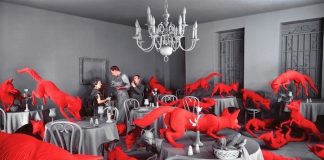 Photos You Won’t Believe Aren’t Photoshopped