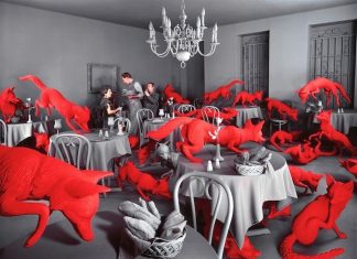 Photos You Won’t Believe Aren’t Photoshopped