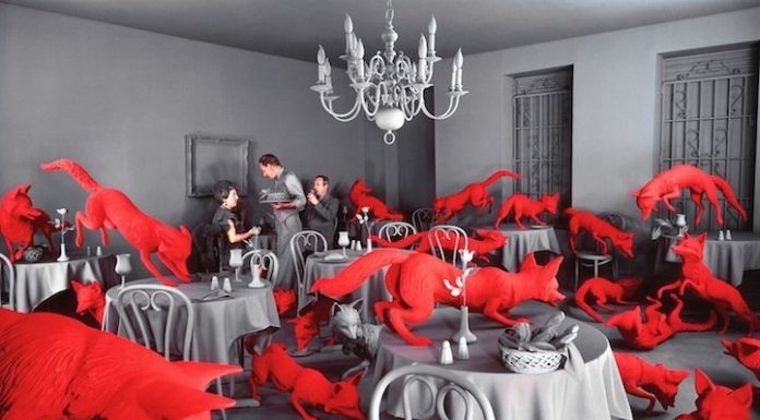 Photos You Won’t Believe Aren’t Photoshopped