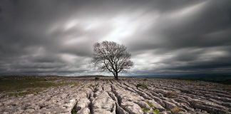 10 Life Lessons I’ve Learned in My First 30 Years