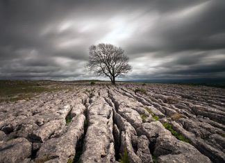 10 Life Lessons I’ve Learned in My First 30 Years