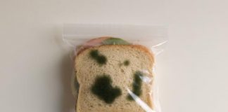 Don’t steal my lunch!