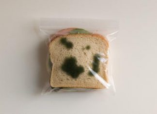 Don’t steal my lunch!