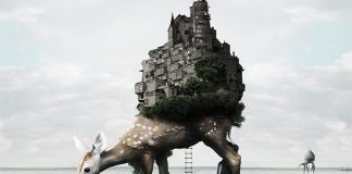 Stefano Bonazzi – Personal Work