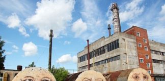 The Living Wall by Nikita Nomerz