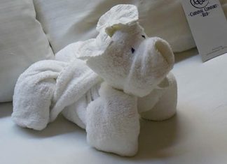 Towel Animals & Towel Origami