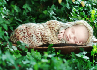 Sweet Sleeping Babies by Tracy Raver