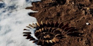 20 Beautiful Land Art Creations