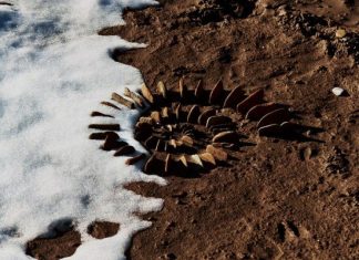20 Beautiful Land Art Creations