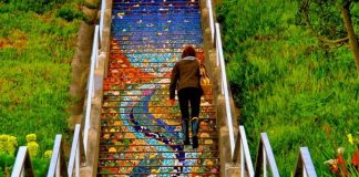 The 16th Avenue Tiled Steps Project