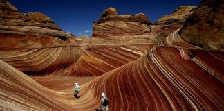The Wave – A Sandstone Rock