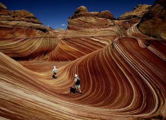 The Wave –  A Sandstone Rock