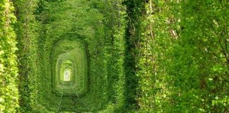 8 of the Most Unusual Tunnels in the World