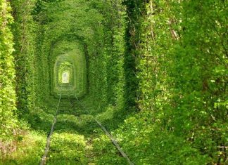 8 of the Most Unusual Tunnels in the World