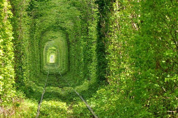 8 of the Most Unusual Tunnels in the World