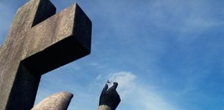 Perfectly Timed Photos