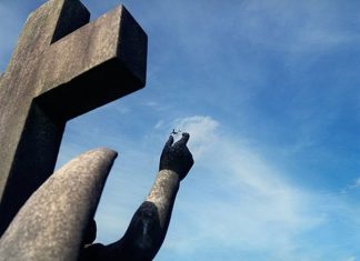 Perfectly Timed Photos