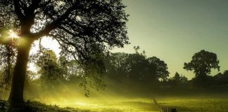 Landscape Photos by Eric Goncalves