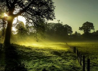 Landscape Photos by Eric Goncalves