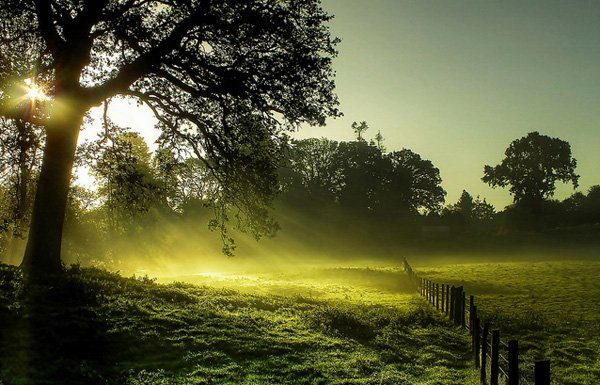 Landscape Photos by Eric Goncalves