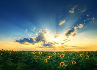 Dreaming a Reality – Panoramic Photography by Zsolt Zsigmond