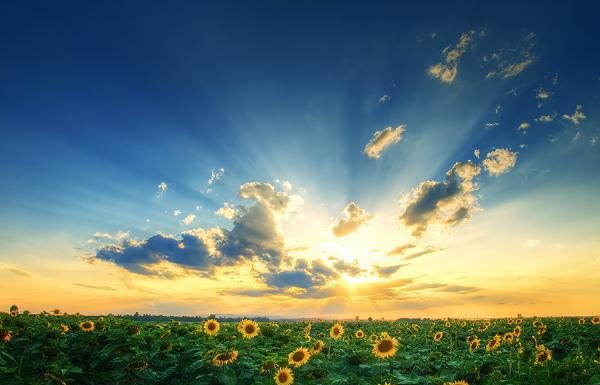 Dreaming a Reality – Panoramic Photography by Zsolt Zsigmond