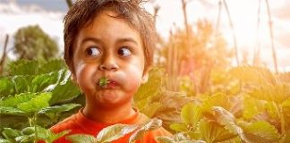 Beautiful photos collection by Adrian Sommeling