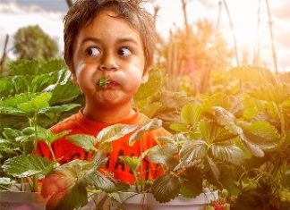 Beautiful photos collection by Adrian Sommeling