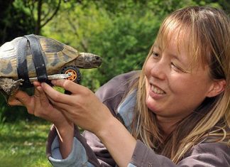 8 Heartbreaking Stories of Animal Prosthetics