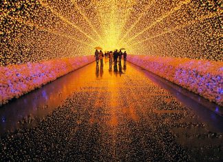Tunnel Of Lights In Japan Shows Brilliant Display Made From Millions Of LEDs