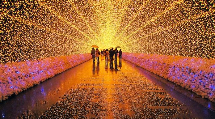 Tunnel Of Lights In Japan Shows Brilliant Display Made From Millions Of LEDs