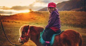 Stuck in customs collecton by Tray Ratcliff