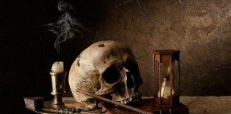 Still life photography inspiration from Kevin Best