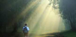 8 LIFE LESSONS THEY SHOULD TEACH IN SCHOOL