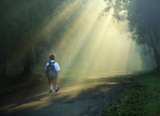 8 LIFE LESSONS THEY SHOULD TEACH IN SCHOOL