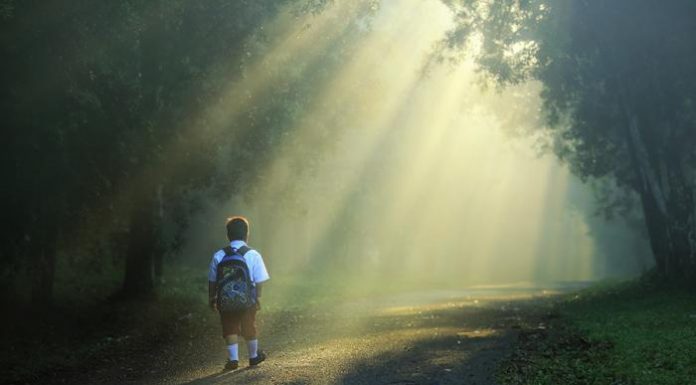 8 LIFE LESSONS THEY SHOULD TEACH IN SCHOOL