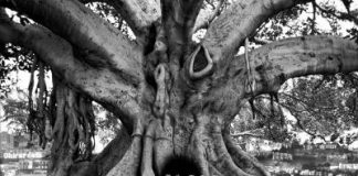 Whimsically Surreal Photo Montages by Thomas Barbéy