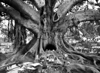 Whimsically Surreal Photo Montages by Thomas Barbéy